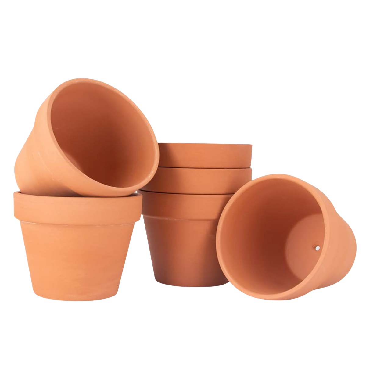Echeveria Succulent - Pots de fleurs en terre cuite