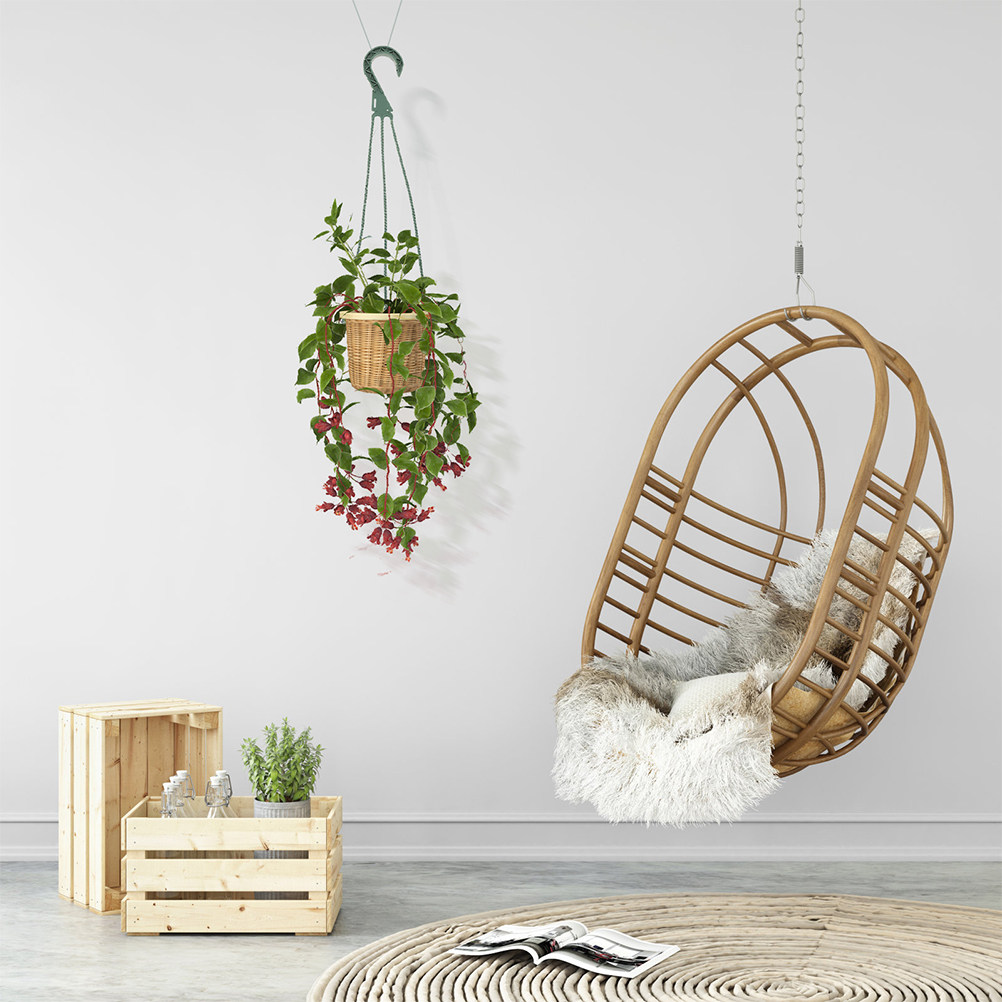 Spider Plant Hanging - Ensemble de 5 crochets de suspension
