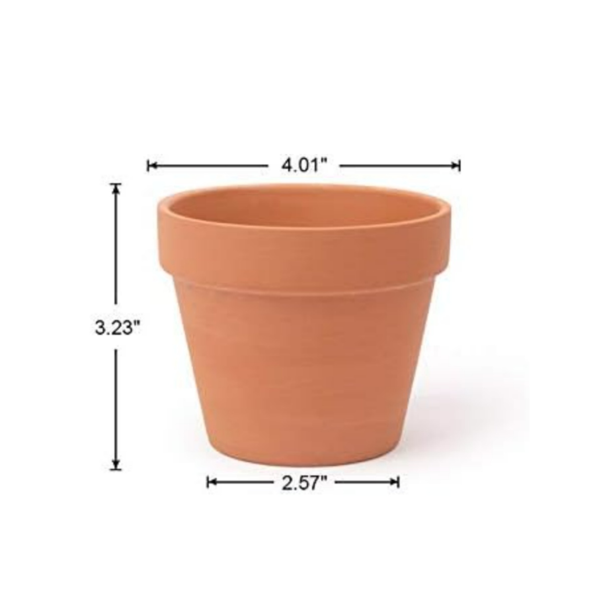 Pots de fleurs en terre cuite  - Echeveria Succulent avis et prix