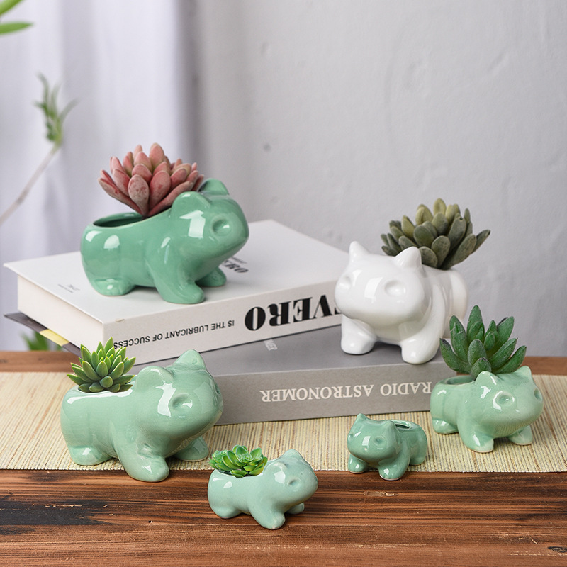 Pot de fleurs créatif en céram - Echeveria Succulent avis et prix