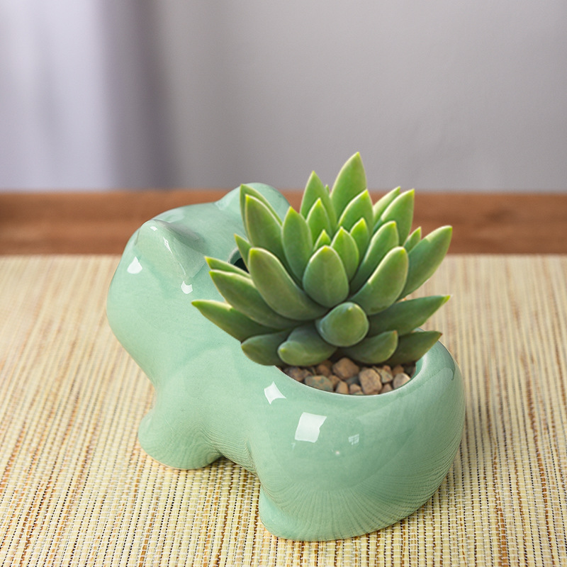 Pot de fleurs créatif en céram - Echeveria Succulent avis et prix