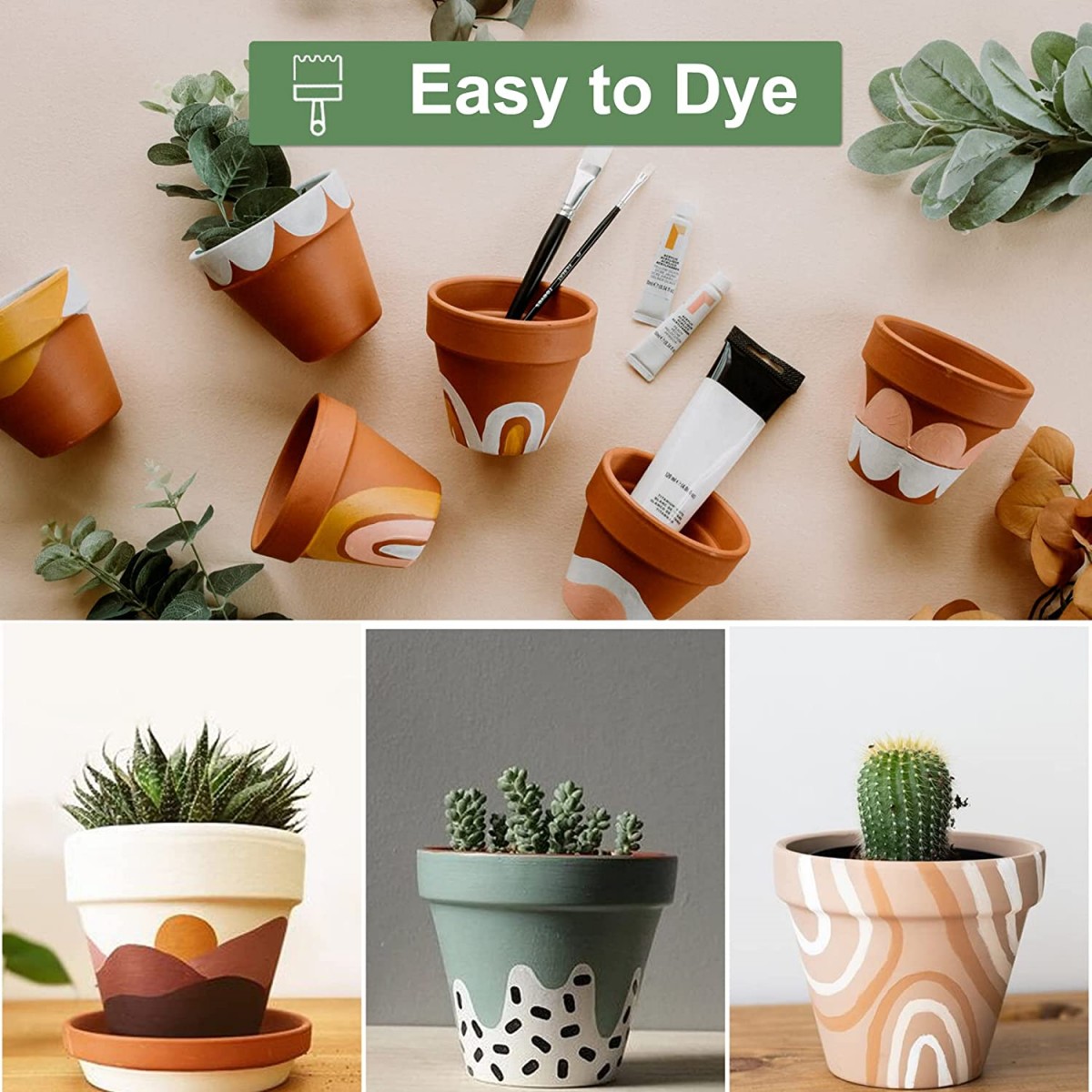 Pots Terra Cotta de 1.8 pouces - Echeveria Succulent avis et prix