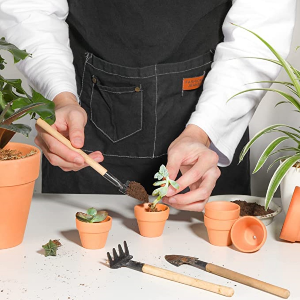 Pots Terra Cotta de 1.8 pouces - Echeveria Succulent avis et prix