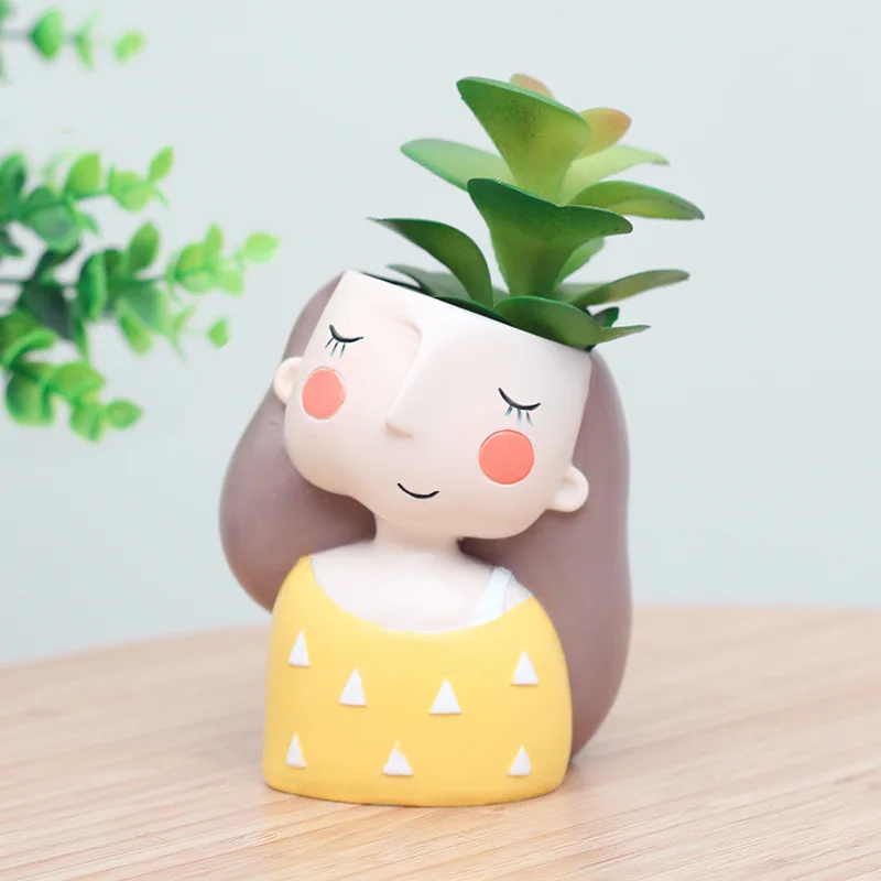 Pot de fleur pour fille succul - Echeveria Succulent avis et prix