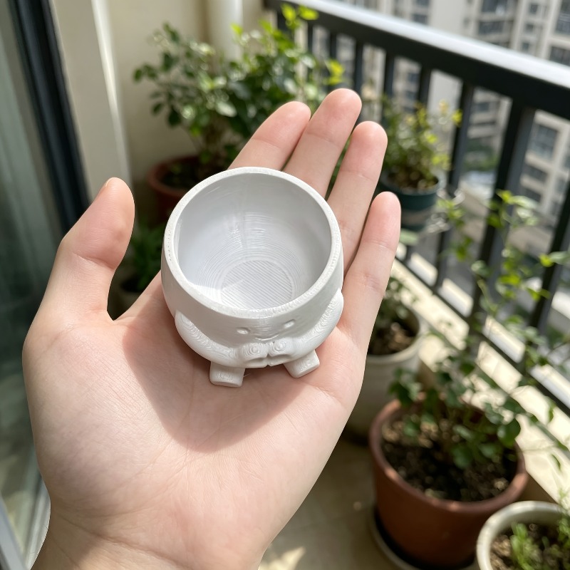 1 pot de fleurs en forme de cœ - Echeveria Succulent avis et prix