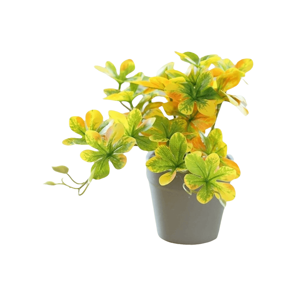 Bonsaï artificiel, plante arti - Spider Plant Hanging avis et prix