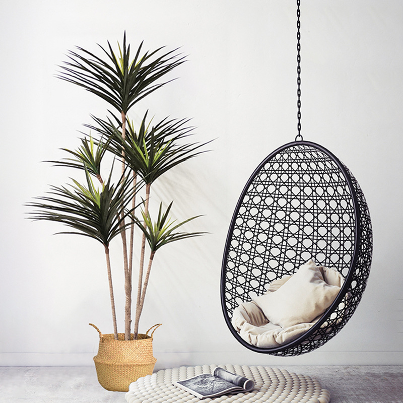 Grandes plantes de Dracaena ar - Ficus Lyrata Tree avis et prix