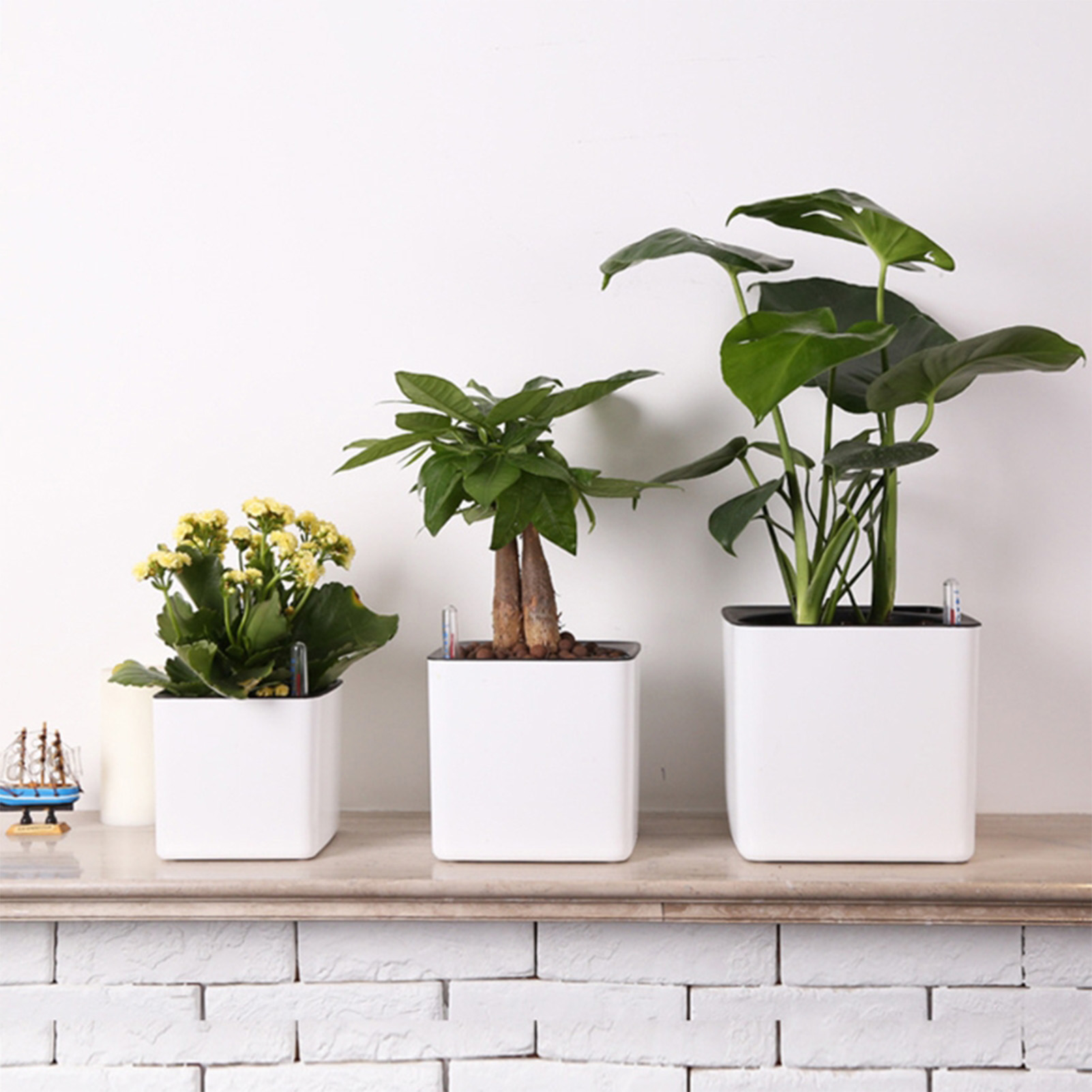 Pot auto-arrosant avec indicat - Aloe Vera Pot avis et prix