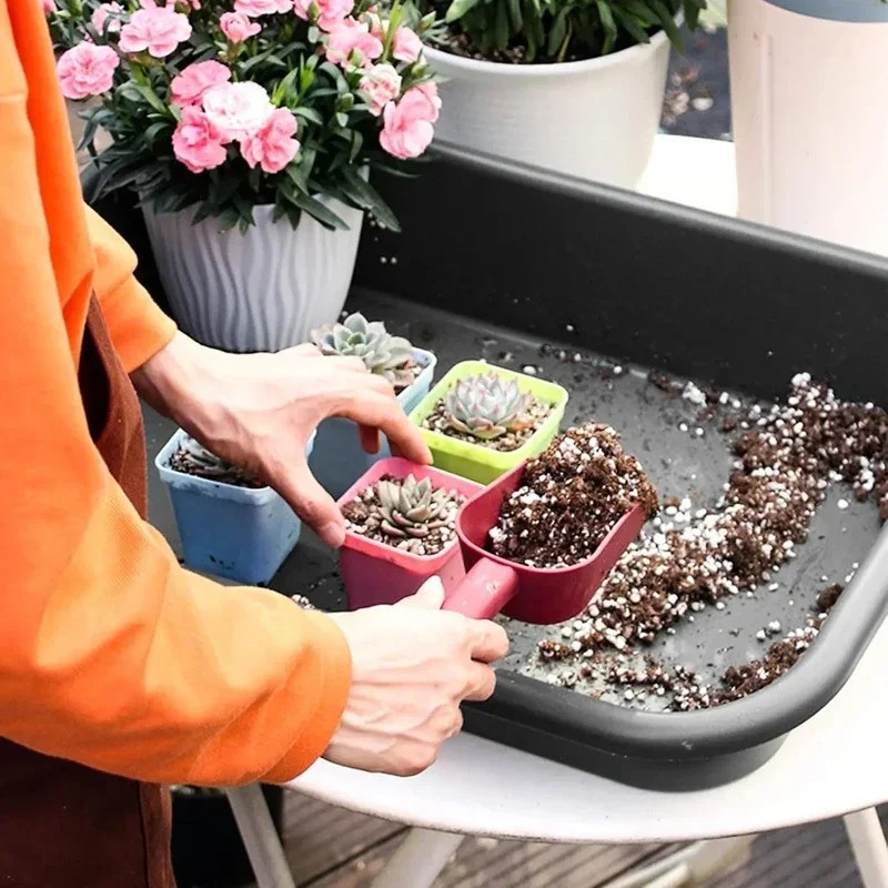 Nouveau design, plateau de jar - Echeveria Succulent avis et prix