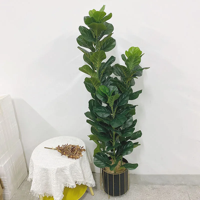 Grand Ficus Lyrata artificiel  - Ficus Lyrata Tree avis et prix