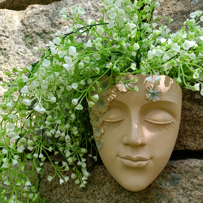 Pot de fleur faciale mural cré - Echeveria Succulent avis et prix