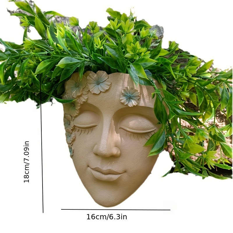 Pot de fleur faciale mural cré - Echeveria Succulent avis et prix