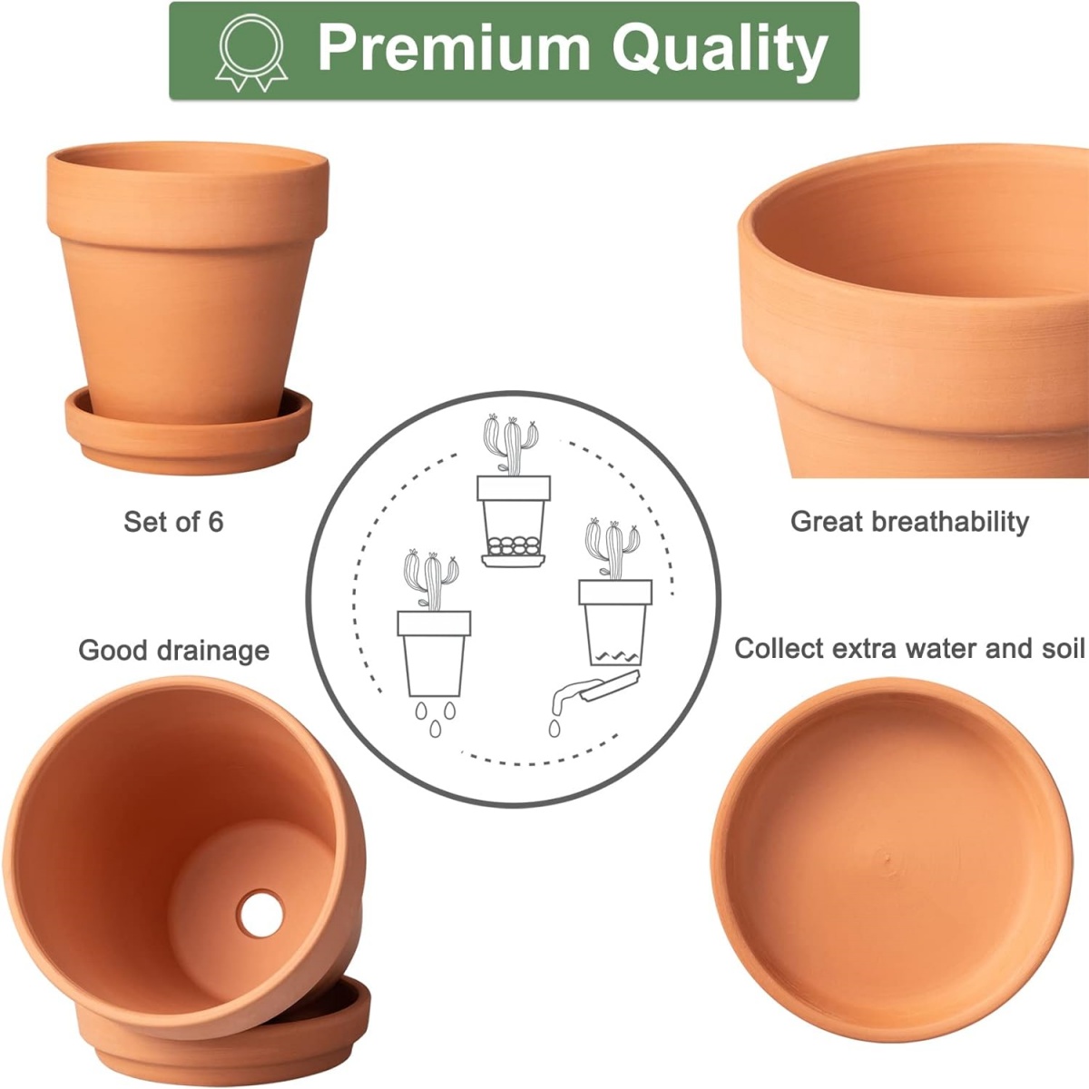 Paquet de 6 Pots en terre cuit - Echeveria Succulent avis et prix