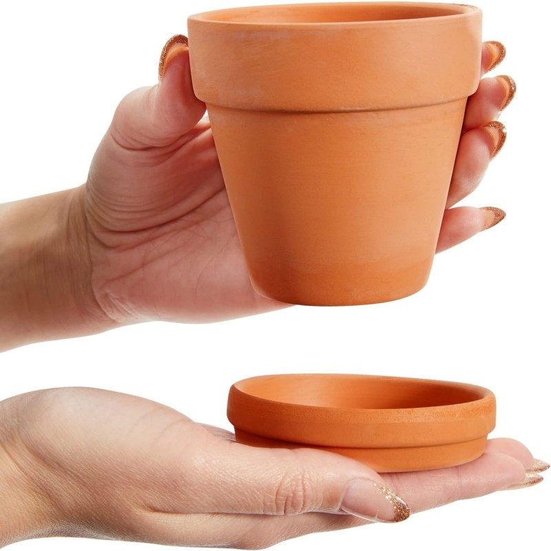 Paquet de 6 Pots en terre cuit - Echeveria Succulent avis et prix
