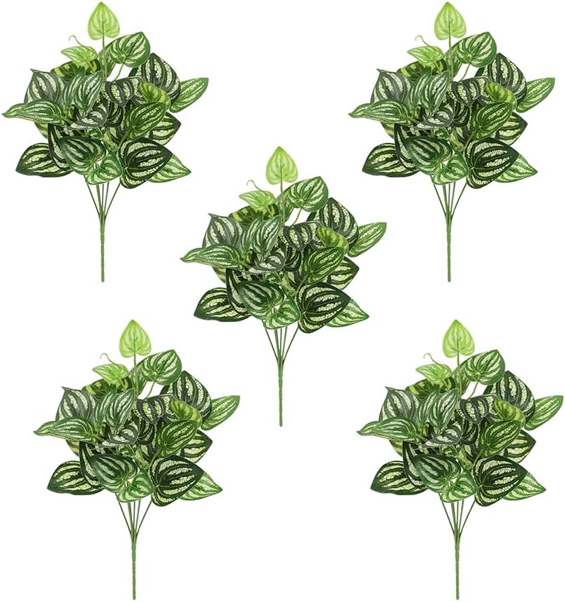 Plante artificielle pastèque P - Peperomia Watermelon avis et prix