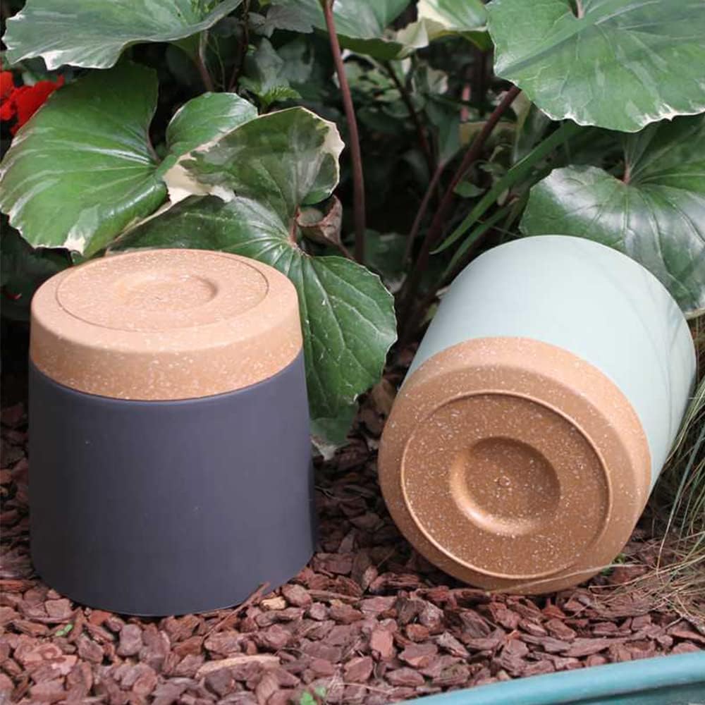 Pots pour plantes, grands pots - Aloe Vera Pot avis et prix