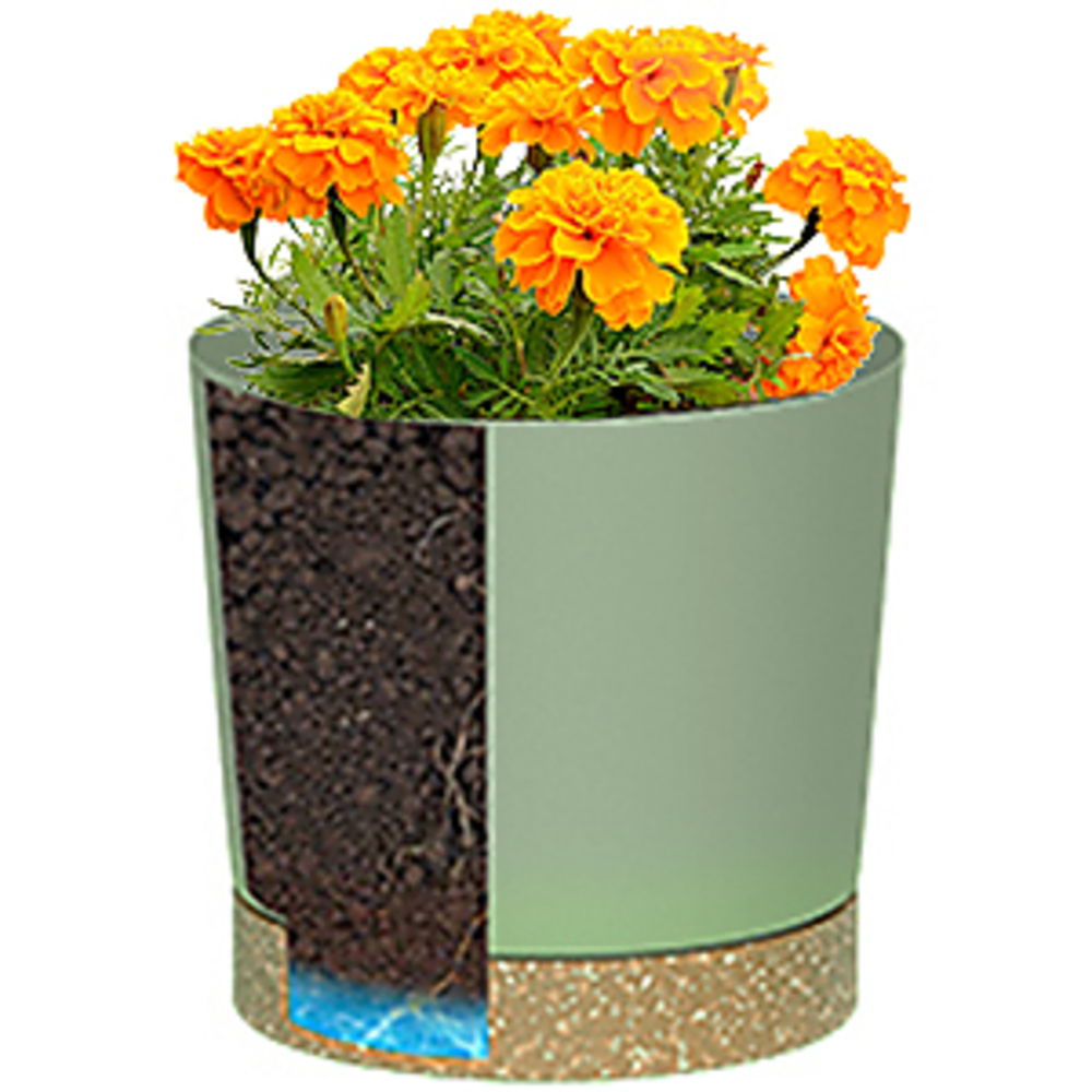 Pots pour plantes, grands pots - Aloe Vera Pot avis et prix