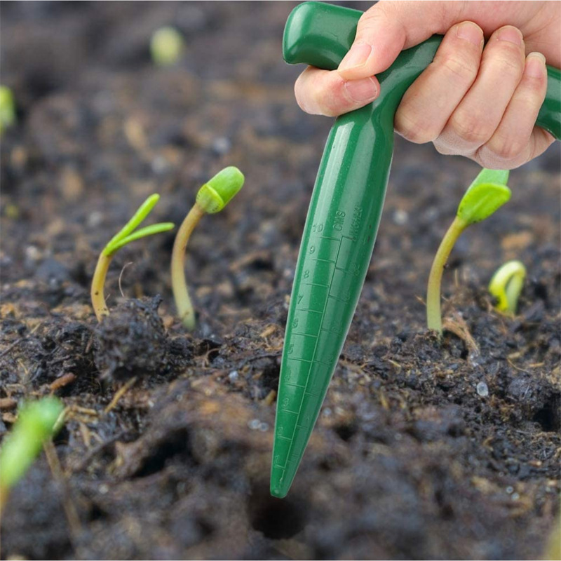 Mini ensemble d'outils de jard - Echeveria Succulent avis et prix