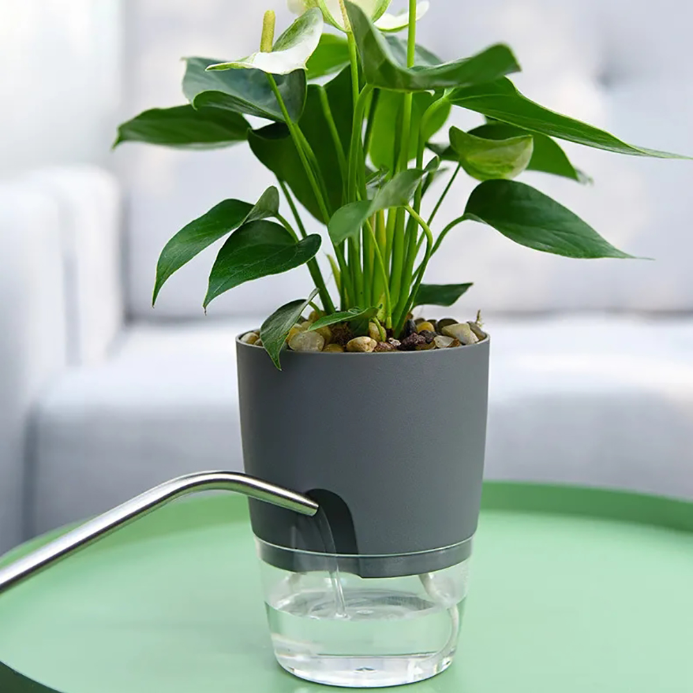 Pot de fleur en plastique Tran - Aloe Vera Pot avis et prix