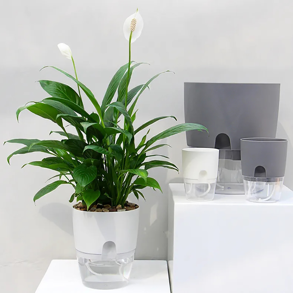 Pot de fleur en plastique Tran - Aloe Vera Pot avis et prix