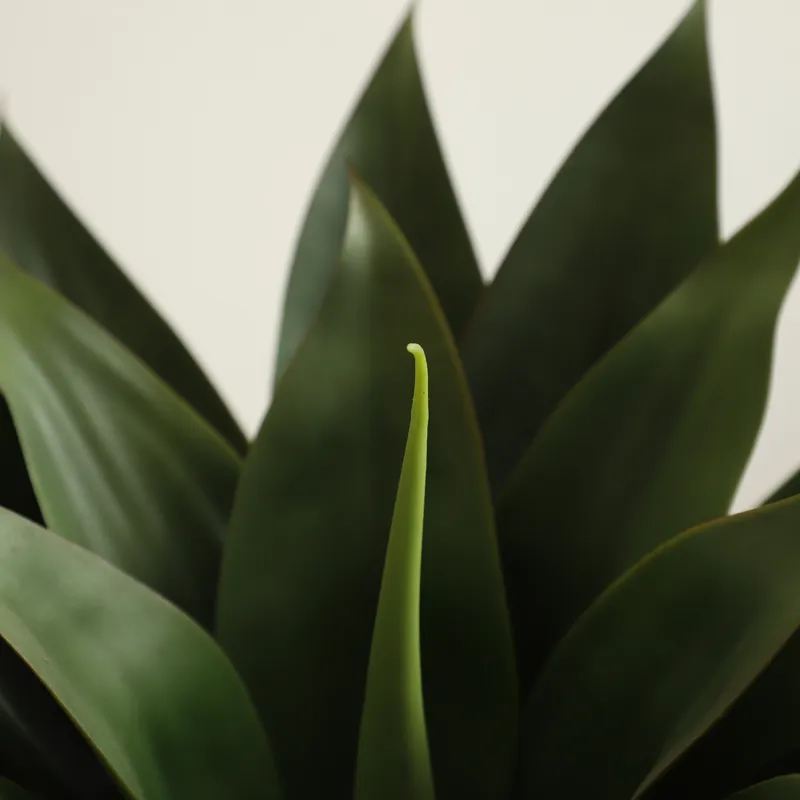Plante artificielle en pot Alo - Aloe Vera Pot avis et prix
