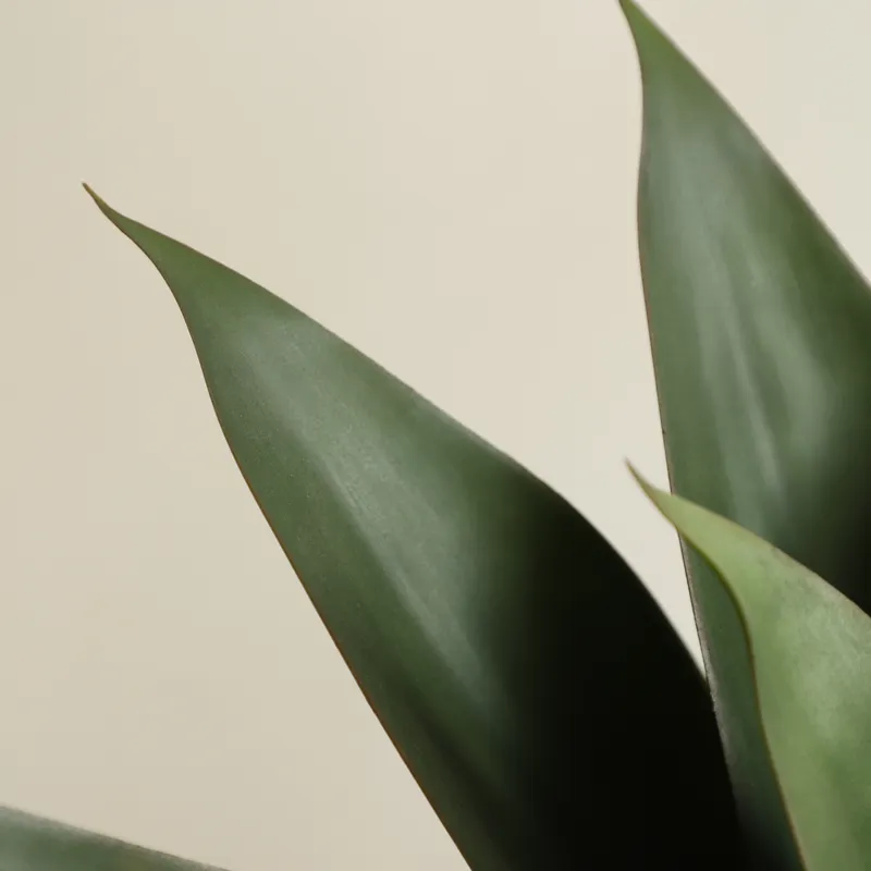 Plante artificielle en pot Alo - Aloe Vera Pot avis et prix